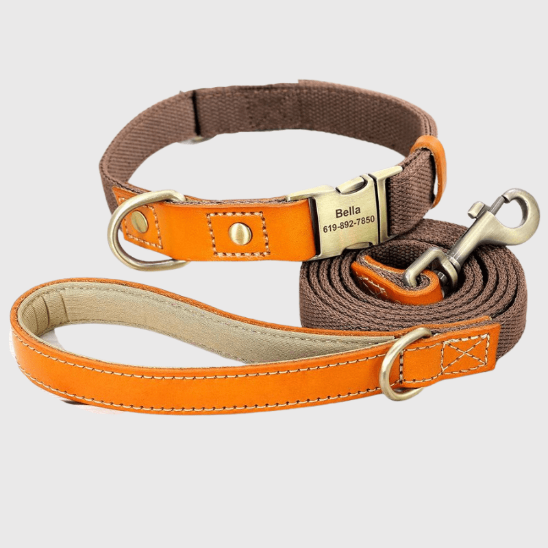 https://cdn.shopify.com/s/files/1/0763/9767/4819/files/Collier_et_laisse_pour_chien_personnalise_collier_laisse_marron.png?v=1769104765