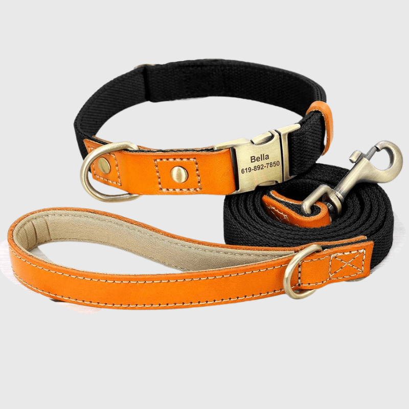 https://cdn.shopify.com/s/files/1/0763/9767/4819/files/Collier_et_laisse_pour_chien_personnalise_collier_laisse_noir.png?v=1769104765