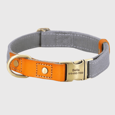 https://cdn.shopify.com/s/files/1/0763/9767/4819/files/Collier_et_laisse_pour_chien_personnalise_gris.png?v=1769104765