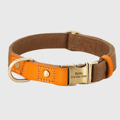 https://cdn.shopify.com/s/files/1/0763/9767/4819/files/Collier_et_laisse_pour_chien_personnalise_marron.png?v=1769104765