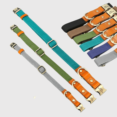 https://cdn.shopify.com/s/files/1/0763/9767/4819/files/Collier_et_laisse_pour_chien_personnalise_modele.png?v=1769104765