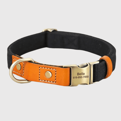 https://cdn.shopify.com/s/files/1/0763/9767/4819/files/Collier_et_laisse_pour_chien_personnalise_noir.png?v=1769104765