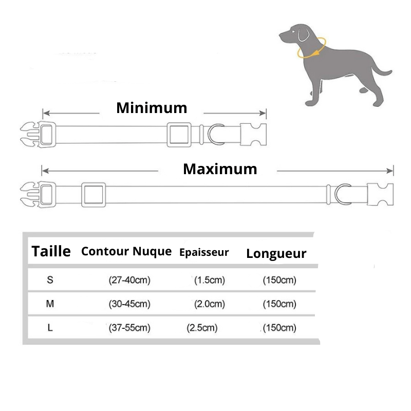 https://cdn.shopify.com/s/files/1/0763/9767/4819/files/Collier_et_laisse_pour_chien_personnalise_taille.png?v=1769104765