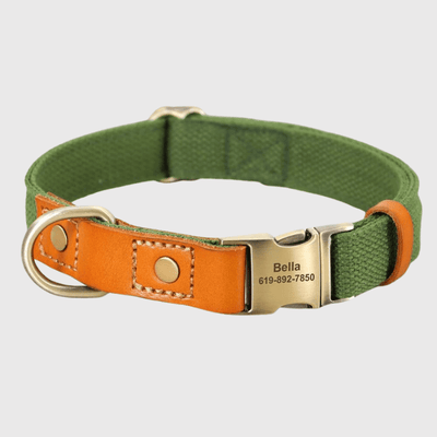https://cdn.shopify.com/s/files/1/0763/9767/4819/files/Collier_et_laisse_pour_chien_personnalise_vert.png?v=1769104765