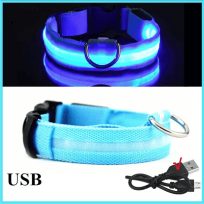 https://cdn.shopify.com/s/files/1/0763/9767/4819/files/Collier_fluo_pour_chien_bleu.png?v=1765550205