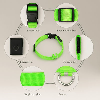 https://cdn.shopify.com/s/files/1/0763/9767/4819/files/Collier_fluo_pour_chien_guide_d_utilisation.png?v=1765550205