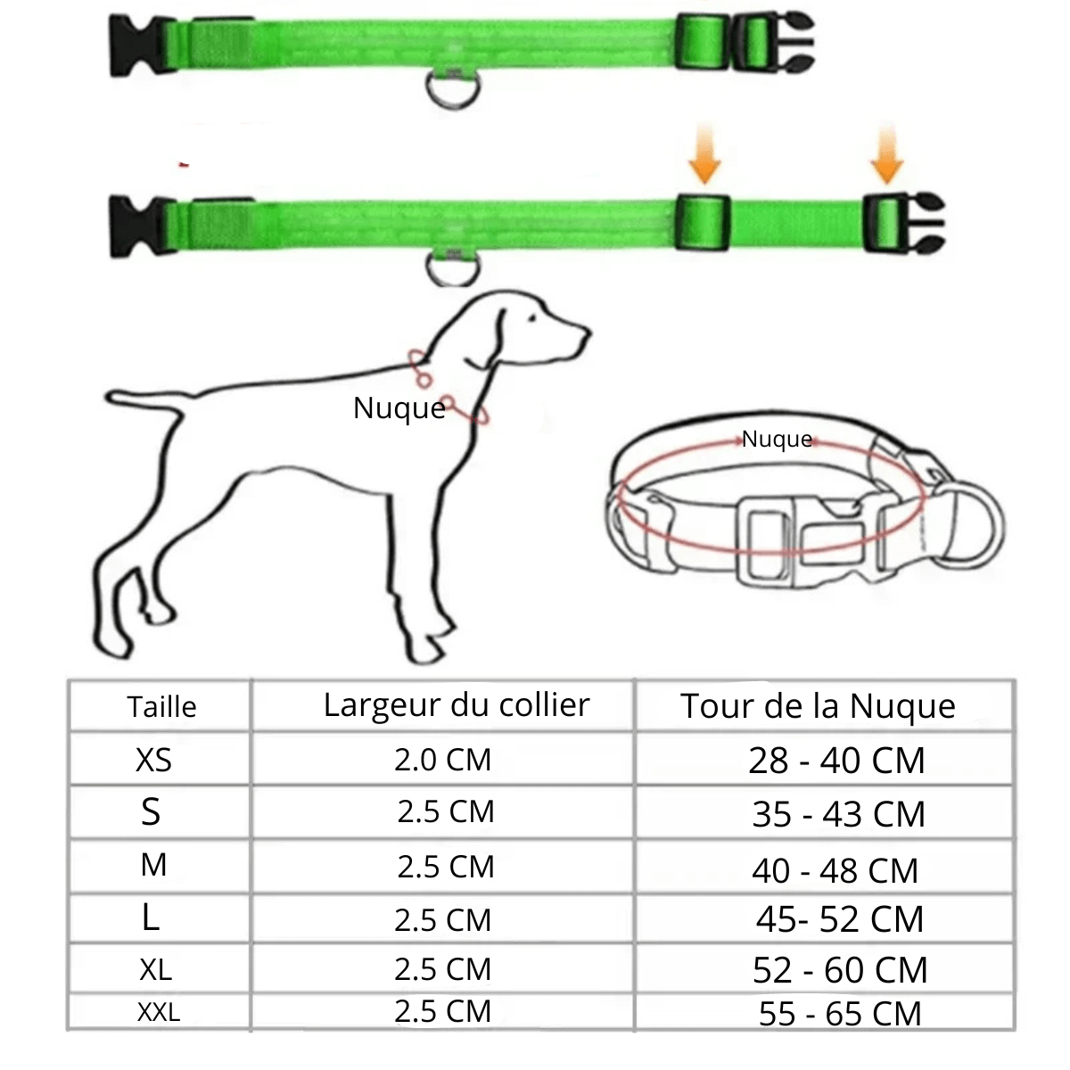 https://cdn.shopify.com/s/files/1/0763/9767/4819/files/Collier_fluo_pour_chien_guide_des_tailles.png?v=1765550205
