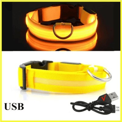 https://cdn.shopify.com/s/files/1/0763/9767/4819/files/Collier_fluo_pour_chien_jaune.png?v=1765550205