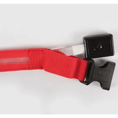 https://cdn.shopify.com/s/files/1/0763/9767/4819/files/Collier_fluo_pour_chien_lumiere.png?v=1765550205