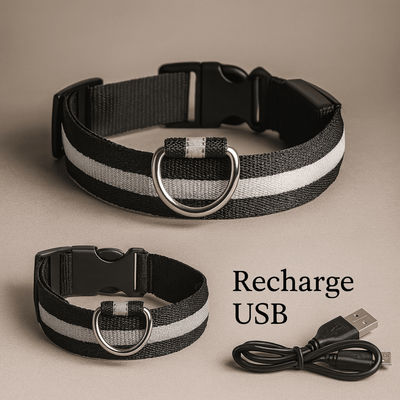 https://cdn.shopify.com/s/files/1/0763/9767/4819/files/Collier_fluo_pour_chien_noir.png?v=1765550205