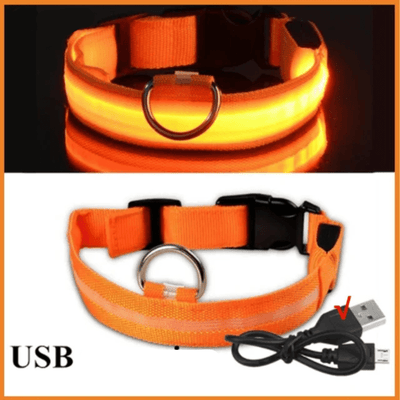 https://cdn.shopify.com/s/files/1/0763/9767/4819/files/Collier_fluo_pour_chien_orange.png?v=1765550205