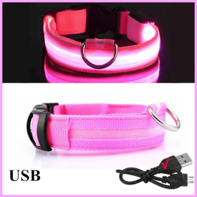 https://cdn.shopify.com/s/files/1/0763/9767/4819/files/Collier_fluo_pour_chien_rose.png?v=1765550205