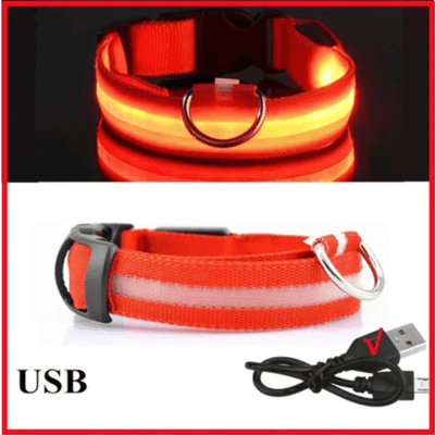 https://cdn.shopify.com/s/files/1/0763/9767/4819/files/Collier_fluo_pour_chien_rouge.png?v=1765550205