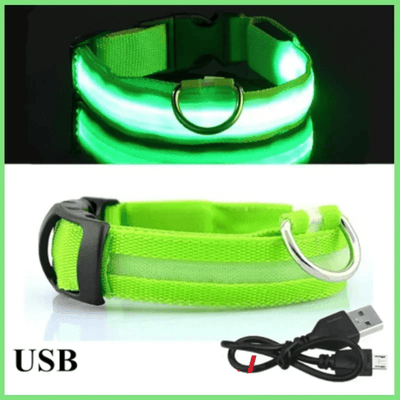 https://cdn.shopify.com/s/files/1/0763/9767/4819/files/Collier_fluo_pour_chien_vert.png?v=1765550205