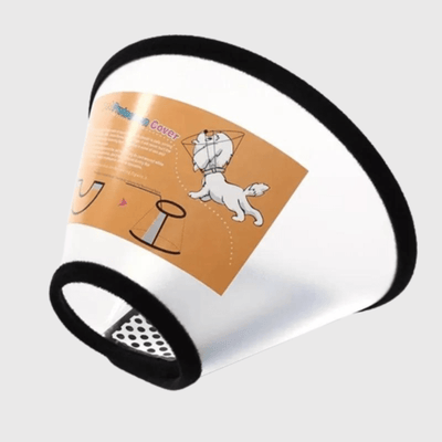 https://cdn.shopify.com/s/files/1/0763/9767/4819/files/Collier_lune_chien_plastique_dur_3.png?v=1695824235