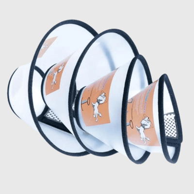 https://cdn.shopify.com/s/files/1/0763/9767/4819/files/Collier_lune_chien_plastique_dur_5.png?v=1695824217
