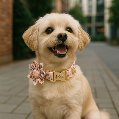 https://cdn.shopify.com/s/files/1/0763/9767/4819/files/Collier_personnalis_pour_Chien_avec_Fleur_sur_caniche.png?v=1745314728