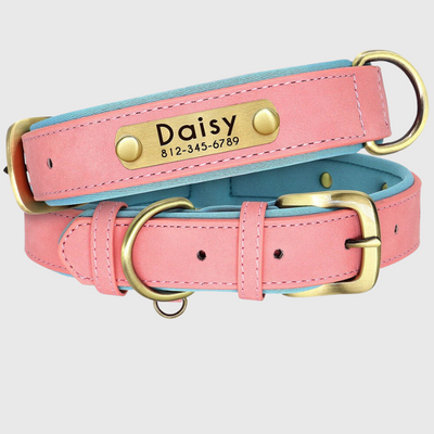 https://cdn.shopify.com/s/files/1/0763/9767/4819/files/Collier_personnalisable_pour_gros_chien__rose.png?v=1744821286