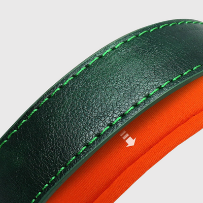 https://cdn.shopify.com/s/files/1/0763/9767/4819/files/Collier_personnalisable_pour_gros_chien_detachabl_collier.png?v=1744821286
