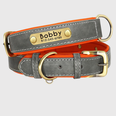 https://cdn.shopify.com/s/files/1/0763/9767/4819/files/Collier_personnalisable_pour_gros_chien_gris.png?v=1744821286