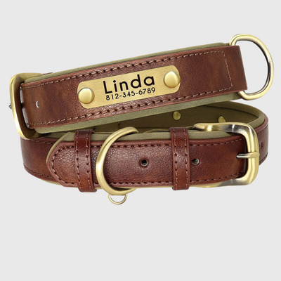 https://cdn.shopify.com/s/files/1/0763/9767/4819/files/Collier_personnalisable_pour_gros_chien_marron.png?v=1744821286