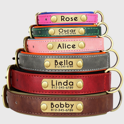https://cdn.shopify.com/s/files/1/0763/9767/4819/files/Collier_personnalisable_pour_gros_chien_modele.png?v=1744821286
