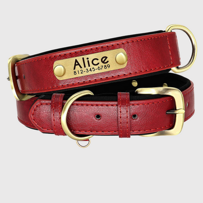 https://cdn.shopify.com/s/files/1/0763/9767/4819/files/Collier_personnalisable_pour_gros_chien_rouge.png?v=1744821286