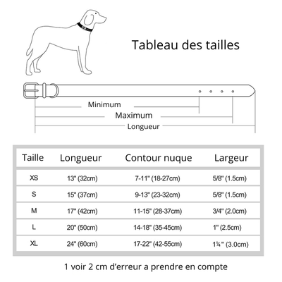 https://cdn.shopify.com/s/files/1/0763/9767/4819/files/Collier_personnalisable_pour_gros_chien_taille.png?v=1744821286