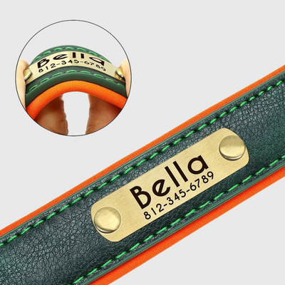 https://cdn.shopify.com/s/files/1/0763/9767/4819/files/Collier_personnalisable_pour_gros_chien_zoom_sur_collier.png?v=1744821286
