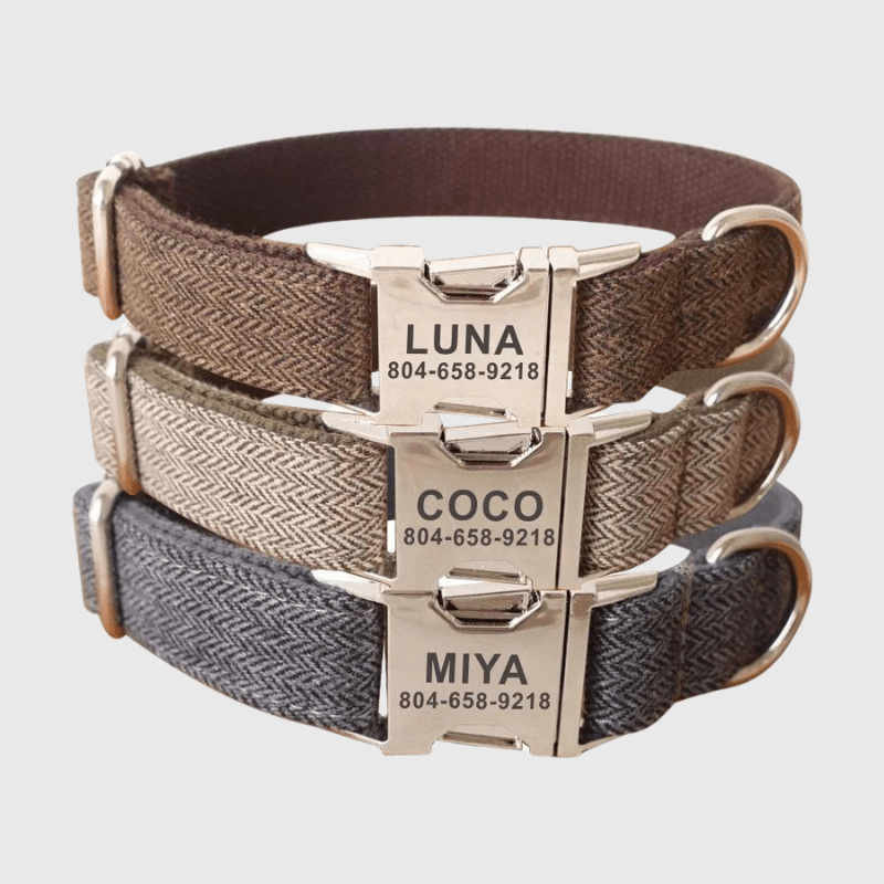https://cdn.shopify.com/s/files/1/0763/9767/4819/files/collier-personnalise-chien-tresse.png?v=1769014507