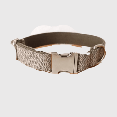 https://cdn.shopify.com/s/files/1/0763/9767/4819/files/Collier_personnalise_chien_tresse_gris.png?v=1769014507