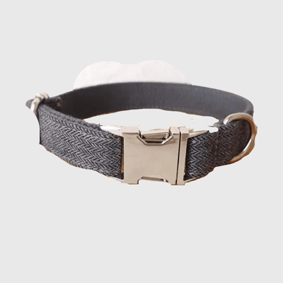 https://cdn.shopify.com/s/files/1/0763/9767/4819/files/Collier_personnalise_chien_tresse_gris_bleu.png?v=1769014507