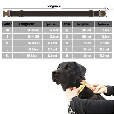 https://cdn.shopify.com/s/files/1/0763/9767/4819/files/Collier_personnalise_chien_tresse_taille.png?v=1769014507
