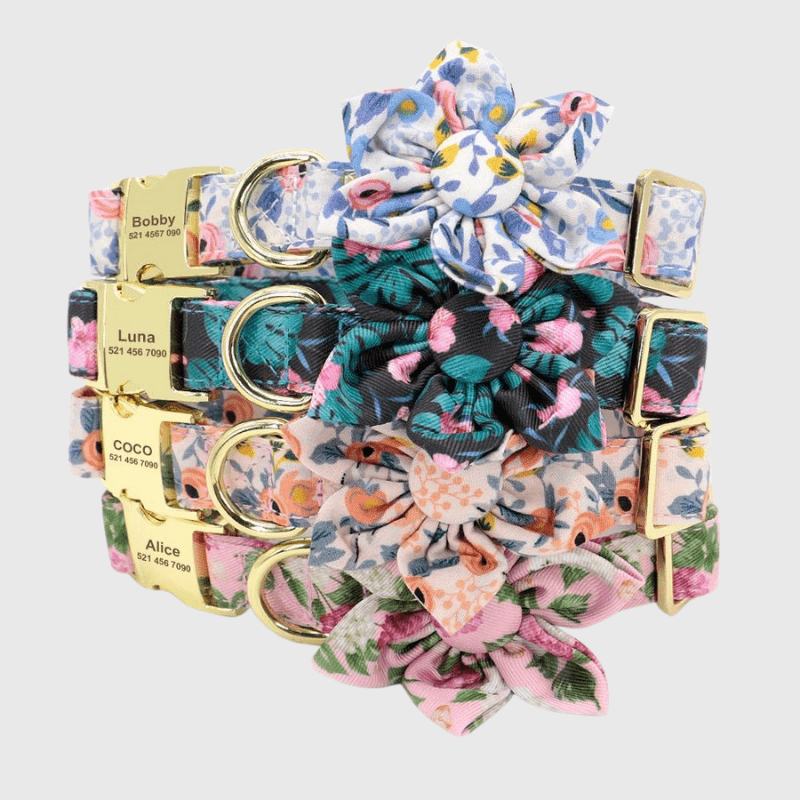 https://cdn.shopify.com/s/files/1/0763/9767/4819/files/Collier_personnalis_pour_Chien_avec_Fleur_sur_caniche.png?v=1745314728