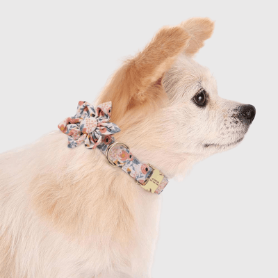 https://cdn.shopify.com/s/files/1/0763/9767/4819/files/Collier_personnalise_pour_Chien_avec_Fleur_chiot.png?v=1745314693