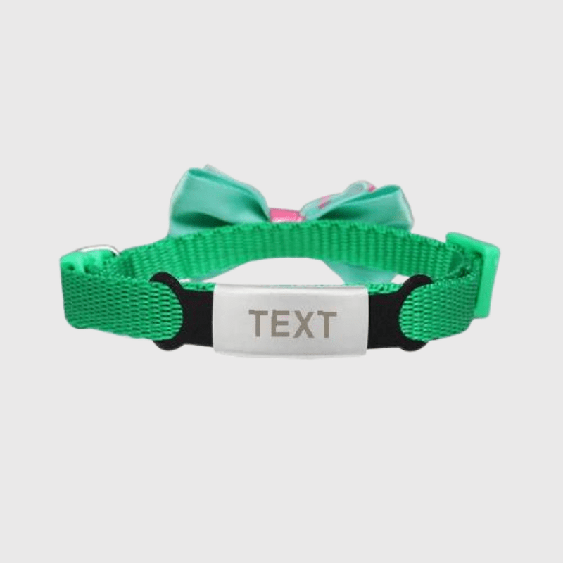 https://cdn.shopify.com/s/files/1/0763/9767/4819/files/Collier_personnalise_pour_chien_avec_Noeud_Papillon_argent_vert.png?v=1769182345