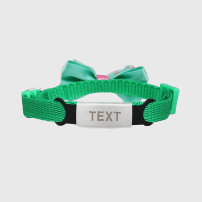 https://cdn.shopify.com/s/files/1/0763/9767/4819/files/Collier_personnalise_pour_chien_avec_Noeud_Papillon_argent_vert.png?v=1769182345