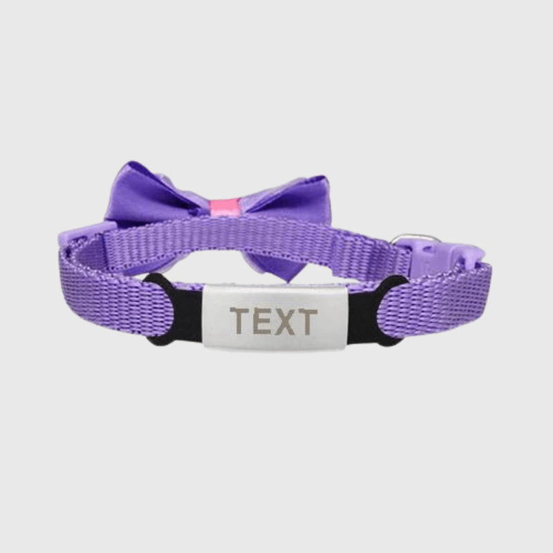 https://cdn.shopify.com/s/files/1/0763/9767/4819/files/Collier_personnalise_pour_chien_avec_Noeud_Papillon_argent_violet.png?v=1769182345