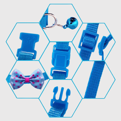 https://cdn.shopify.com/s/files/1/0763/9767/4819/files/Collier_personnalise_pour_chien_avec_Noeud_Papillon_zoom.png?v=1769182345