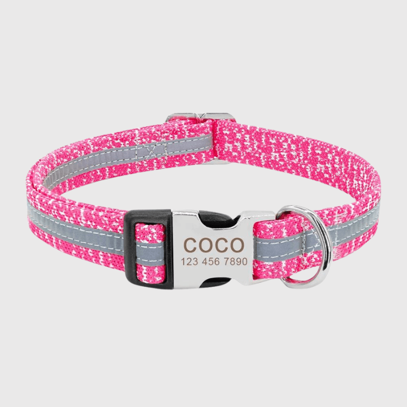 https://cdn.shopify.com/s/files/1/0763/9767/4819/files/Collier_personnalise_prenom_et_telephone_pour_chien_style_10.png?v=1745332904