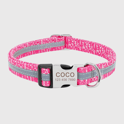 https://cdn.shopify.com/s/files/1/0763/9767/4819/files/Collier_personnalise_prenom_et_telephone_pour_chien_style_10.png?v=1745332904