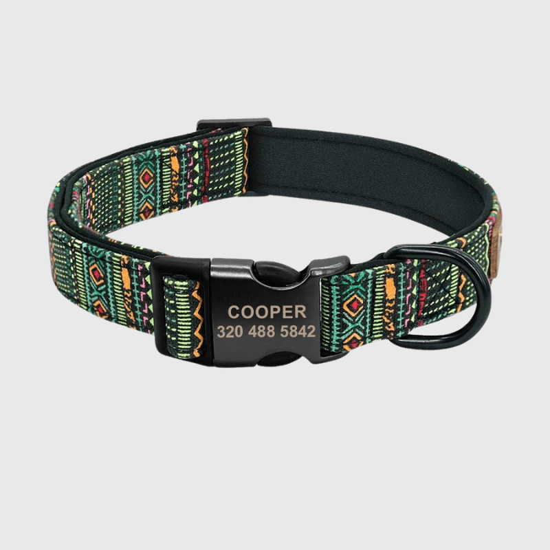 https://cdn.shopify.com/s/files/1/0763/9767/4819/files/Collier_personnalise_prenom_et_telephone_pour_chien_style_11.png?v=1745332904