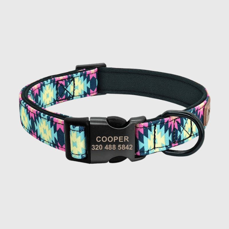 https://cdn.shopify.com/s/files/1/0763/9767/4819/files/Collier_personnalise_prenom_et_telephone_pour_chien_style_13.png?v=1745332904