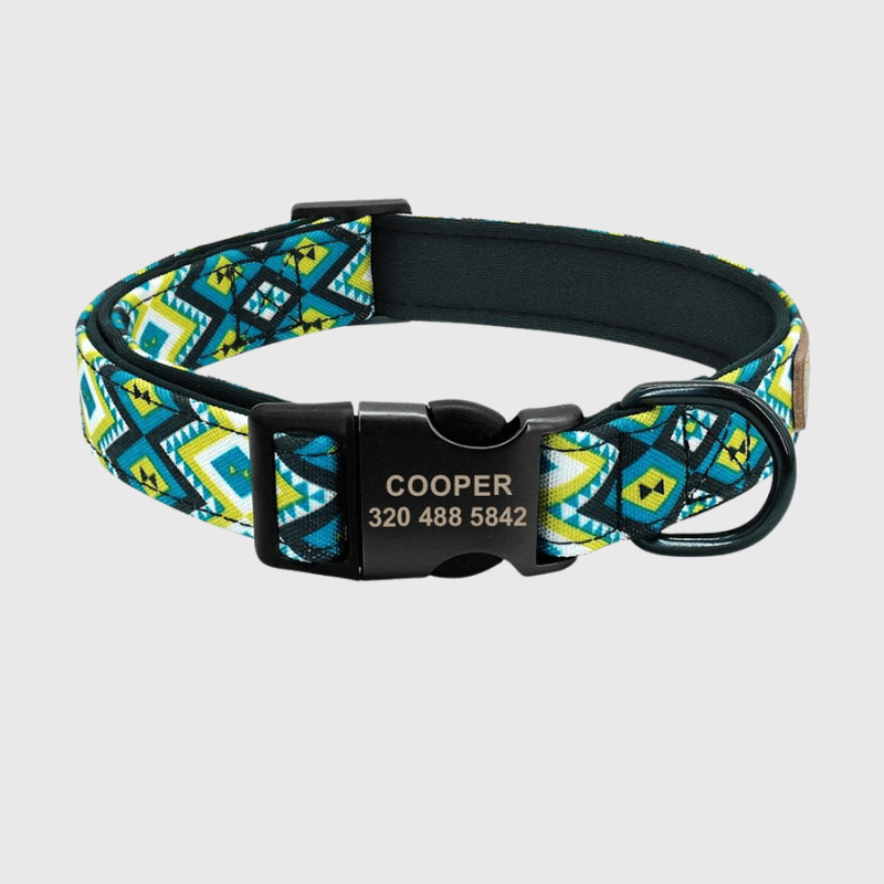 https://cdn.shopify.com/s/files/1/0763/9767/4819/files/Collier_personnalise_prenom_et_telephone_pour_chien_style_14.png?v=1745332904