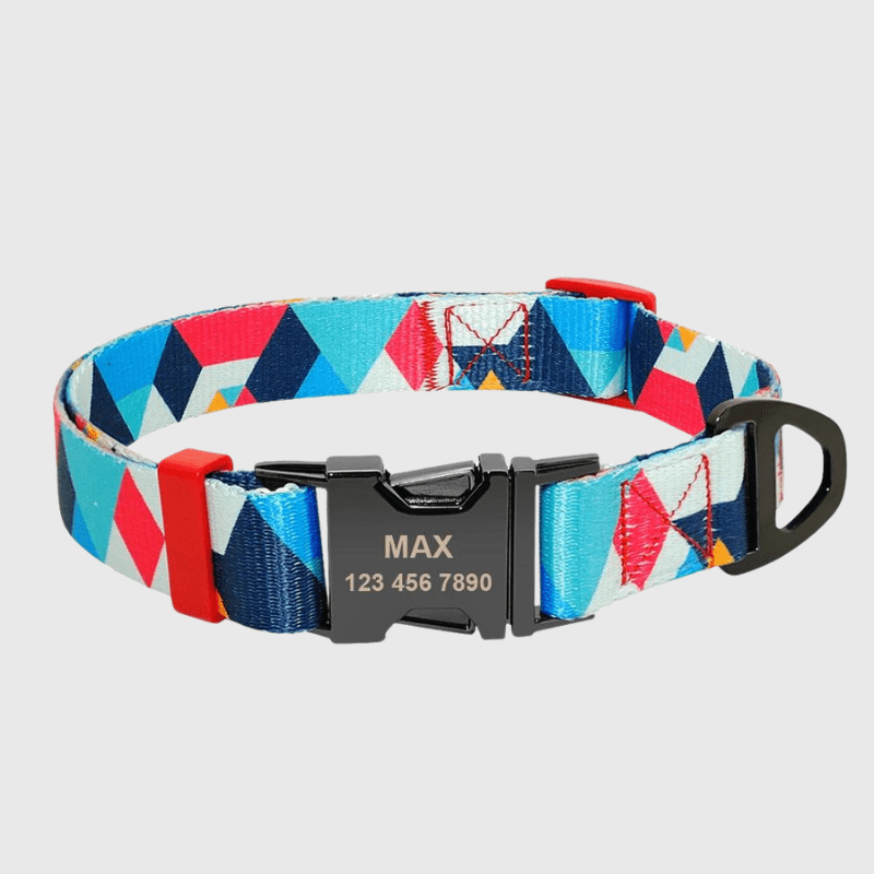 https://cdn.shopify.com/s/files/1/0763/9767/4819/files/Collier_personnalise_prenom_et_telephone_pour_chien_style_17.png?v=1745332904