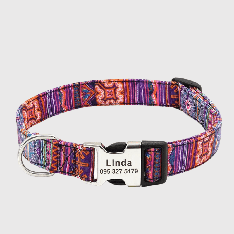 https://cdn.shopify.com/s/files/1/0763/9767/4819/files/Collier_personnalise_prenom_et_telephone_pour_chien_style_19.png?v=1745332904