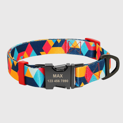 https://cdn.shopify.com/s/files/1/0763/9767/4819/files/Collier_personnalise_prenom_et_telephone_pour_chien_style_2.png?v=1745332904