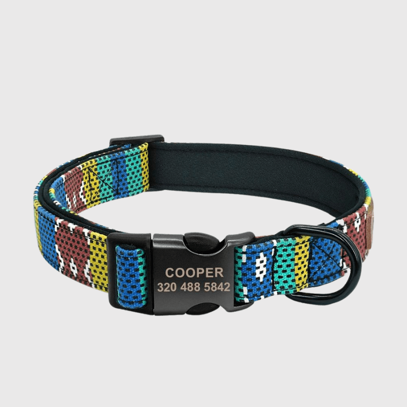 https://cdn.shopify.com/s/files/1/0763/9767/4819/files/Collier_personnalise_prenom_et_telephone_pour_chien_style_3.png?v=1745332904