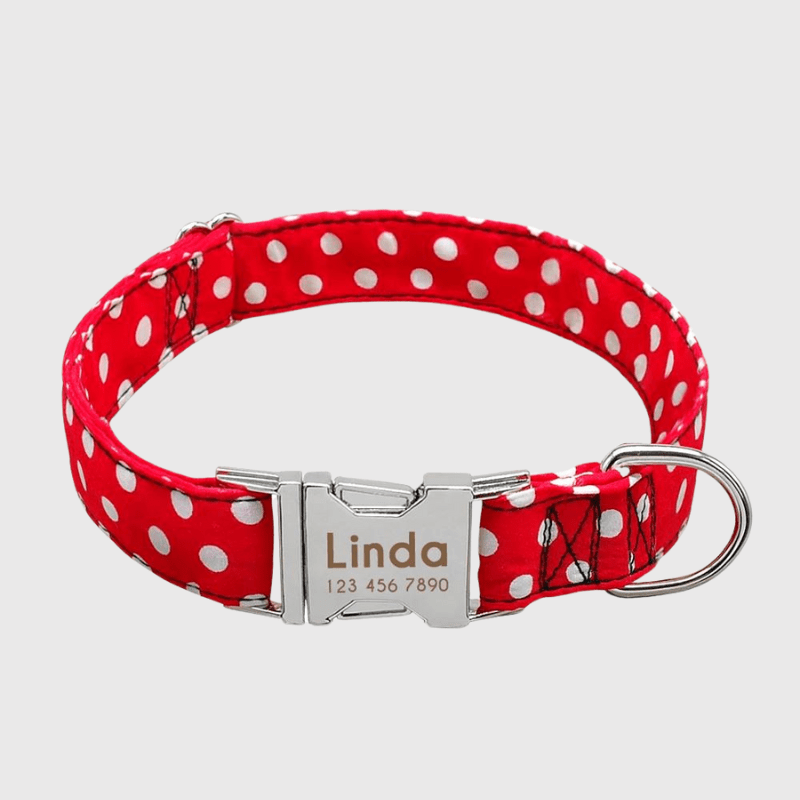 https://cdn.shopify.com/s/files/1/0763/9767/4819/files/Collier_personnalise_prenom_et_telephone_pour_chien_style_8.png?v=1745332904