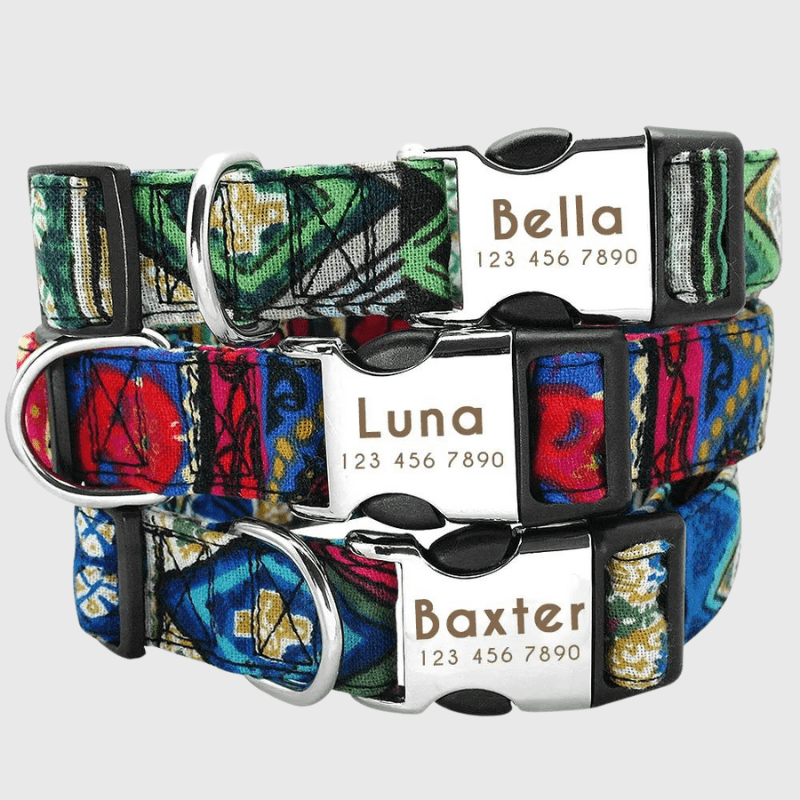 https://cdn.shopify.com/s/files/1/0763/9767/4819/files/Collier_personnalise_prenom_et_telephone_pour_chien_en_foret_avec_son_maitre.png?v=1745332945